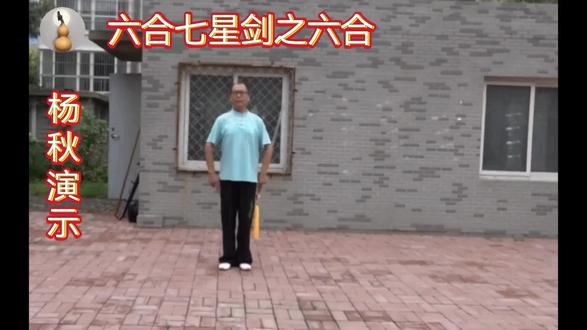 六合七星剑之六合部分
