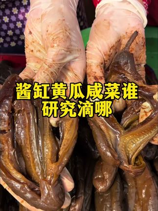 酱缸黄瓜咸菜谁研究滴哪#酱缸黄瓜#酱缸咸菜#咸菜#特色农产品