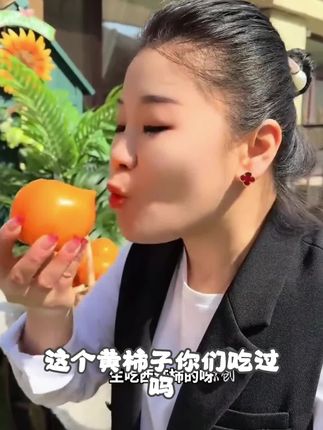 (顺丰包邮)内蒙古五原黄色西红柿黄柿子净重自然成熟 #无限回购的宝藏单品 #在抖音入手的好东西 #热门🔥