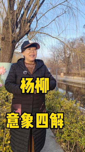 柳,是诗词中常见意象,助力你读懂诗歌,快来听听吧!#描述春天,享受幸福