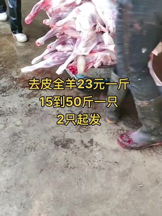去皮全羊23元一斤，15到50斤一只，2只起发#全羊 #去皮全羊 #牛羊肉批发 #支持全国发货