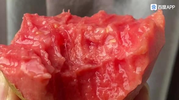 红宝石无子红心芭乐,虽然产量低及病虫害比较高。但是市场价格高,还是可以种植的品种