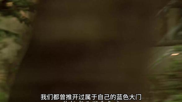 夏天匆匆落幕,蓝色大门里藏着十七岁所有青涩心事#经典回顾影视片段 #影视剧高光时刻 #翻旧剧