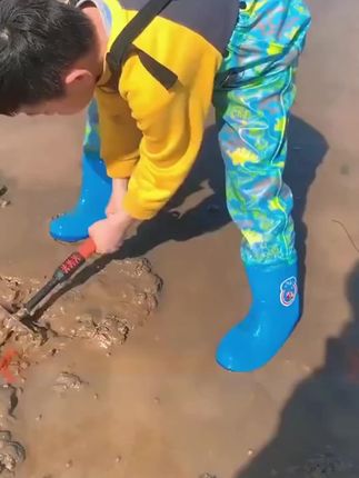 家庭赶海就选这套!大小工具齐全,孩子也能轻松用,防滑手柄好握持,挖螺拾贝超顺手,全家玩得开心~ #亲子赶海 #赶海工具 #海边玩具