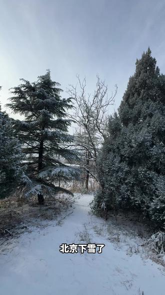 我在北京蟹岛看雪景! #北京初雪 #雪景 #北京 #蟹岛度假村 #冬天