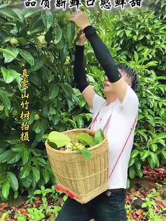 #山竹 #水果自由 #应季水果