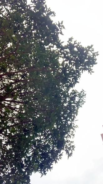 绿皮火车火了 #绿皮火车 #创业#情感#正能量