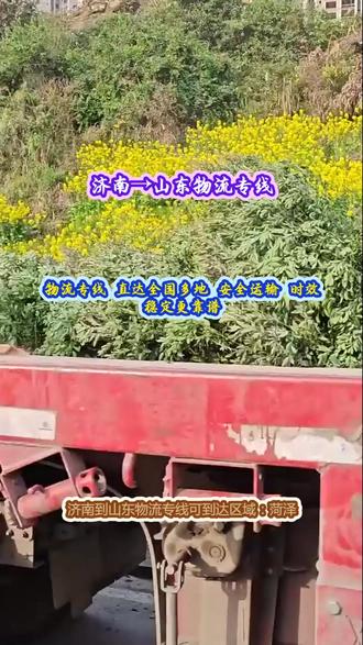 济南到山东物流专线 。 (1️⃣3️⃣1️⃣ 8️⃣9️⃣9️⃣9️⃣ 6️⃣1️⃣6️⃣1️⃣)。可到达区域:菏泽-临沂-聊城-烟台-日照-济南-东营-枣庄-莱芜-滨州-济宁-泰安-青岛-威海-淄博-德州-潍坊。建材五金整车零担托运,多地专线同步发车,坚固防护杜绝磕碰损伤#济南到山东物流专线 #搬家公司 #物流专线 #行李托运 #物流公司