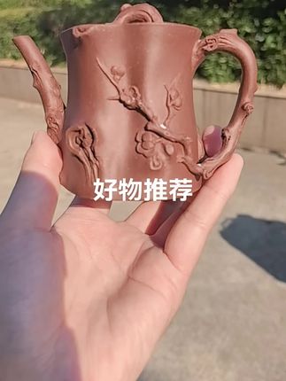 手艺人匠心之作,泡茶更有一番风味! 想喝好茶却没合适茶具?这款全手工制作的茶壶帮你解决!#好物推荐🔥#紫砂壶#茶具#原创#器物之美
