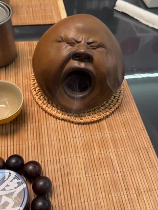 有趣的东西#喝茶 #每日分享 #泡茶 #玩壶愉快 #茶宠摆件