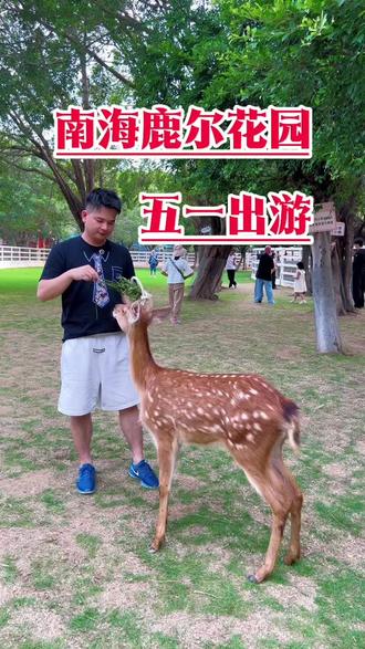 五一遛娃好去处当然来南海鹿尔花园,多个游玩项目等你解锁#鹿尔水世界浪一夏#爱在南海鹿尔花园#五一出游好去处 #亲子游玩好去处 #遛娃好去处 @DOU+上热门 @抖音小助手 @南海鹿尔花园