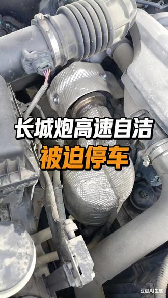#上热门 长城炮频繁自洁,再生失败,尿素系统故障禁止启动,颗粒捕捉器堵塞,限速动力不足,油耗飙升,怠速不稳,亮发动机故障灯,刷ecu程序,帮你彻底解决#长城炮 #长城炮颗粒捕捉器 #长城炮尿素#dpf关闭
