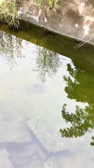 幻影S60阴天效果也是老棒了#找鱼偏光镜 #户外装备 #偏光太阳镜