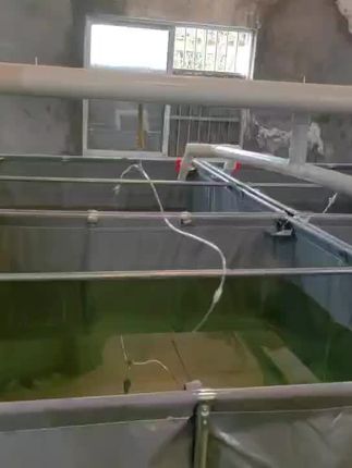 室内室外都能用的加固鱼池,包邮还支持免费退! 这个季节正是放水的时候了!赶紧把你的小宝贝们安排到新家吧~ 这里有各种规格大小的鱼缸、鱼池。下单即送运费险,不满意可退哦~#好物推荐🔥#刀刮布帆布鱼池#刀刮布养殖池#居家好物#防雨布