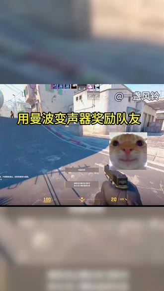 用变声器变成曼波整蛊兄弟#曼波