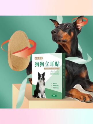 #萌宠计划 狗狗立耳朵神器小狗犬立耳贴德牧柯基雪纳瑞耳朵固定辅助竖耳器#狗狗立耳 #爱宠萌宠 #狗狗立耳方法 #双十二