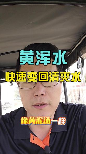 塘口水变黄发浑像黄泥汤 快速把水洗回清爽 #池塘浑水调理 #水体氮磷比 #过磷酸钙 #水产养殖技术 #黄泥水