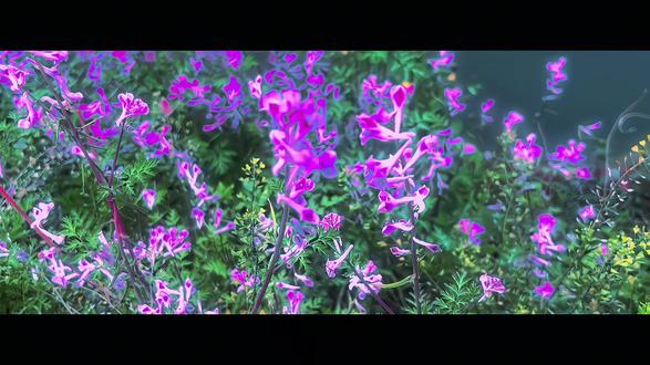 花知道自己只有一天的花期 所以拼命绽放 我知道你可能不会来 却还在等.#摄影 #拍出电影感 #紫堇