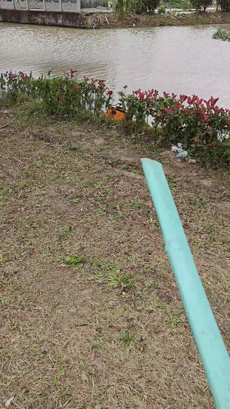 探钓无名小河,遇板子 @留流鱼 #野钓 #夜钓