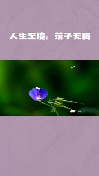 人生至境:落子无悔,从容向前
人生如棋,落子无悔,便是世间最顶级的心态。
我们终其一生,都在不断做出选择,没有人能保证每一步都精准无误、步步皆对。不必为过往的失误耿耿于怀,无需苛责曾经的自己,选错了,便是一段经历,而非一种罪过。
很多时候,我们总忍不住回头遗憾,站在如今历经世事的高度,去批判当年那个稚嫩、懵懂的自己。可即便时光倒流,以彼时的心智、阅历与眼界,你依旧会做出同样的抉择。那些走过的弯路、遇见的遗憾,都是成长必经的轨迹,是岁月赋予的专属功课。
不必沉溺于过往的对错,古人云:知不足而奋进,望远山而前行。放下对曾经的执念,接纳所有不完美,只管心怀热爱全力以赴。人生从没有白走的路,每一步都算数,若事与愿违,不必焦虑,不必强求,请坚信,上天自有更合适的安排。
往后余生,不纠结过往,不忧虑未来,心无挂碍,落子无悔,从容自在地奔赴属于自己的山海。