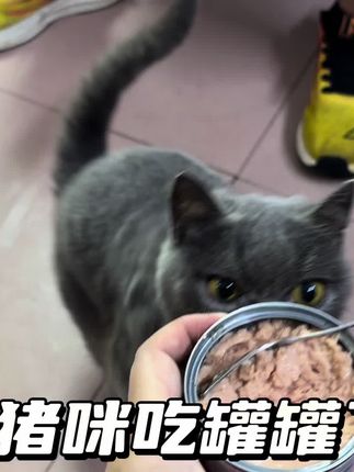 好适嘉98K猫咪主食罐的活动赶紧多囤点,猫猫巨爱吃,一天一个铲屎官的荷包也是扛得住的,关键是大品牌,吃的也放心#好适嘉98k #猫罐头推荐