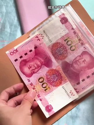 #存钱 #我要开始存钱了 #存现金收纳册 #现金存钱本 #我就喜欢这个