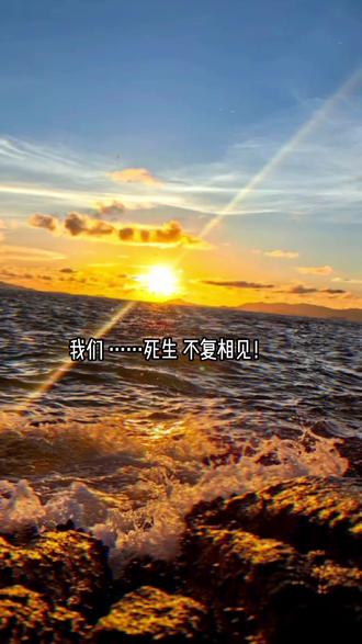 我们……死生 不复相见!#叶清秋