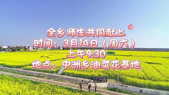 春风有信,花开有期
中洲金色花海,藏着整个春天的温柔
童声遇花海,美好正当时
3月14日,不见不散
共赏中洲限定春日浪漫🌿
#春游 #油菜花