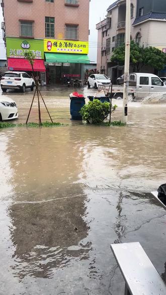 中山公用(000685),这业绩是老天爷给的吗,这两中山在下雨就拉涨停,