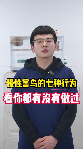 慢性害鸟的七种行为 看你都哦有没有做过 #鹦鹉 #鹦鹉日常 #萌宠出道计划 #科学养宠攻略