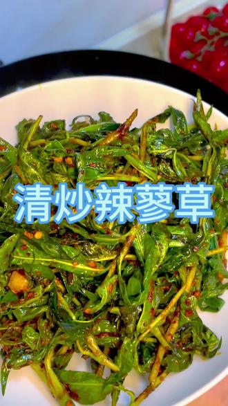 田间野菜辣蓼草家常做法 田间随处可见的辣蓼草,简单清炒清爽解腻,农家地道吃法,你们吃过吗?#清炒辣蓼草 #家常农家菜 #乡村家常菜