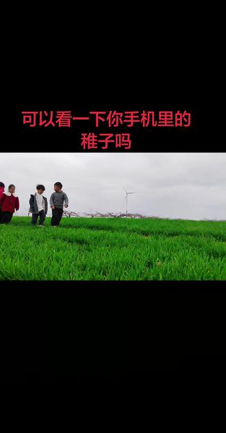 稚子少年不知事,却是人生最快时#稚子歌 #童年动画 #情感 #人生感悟