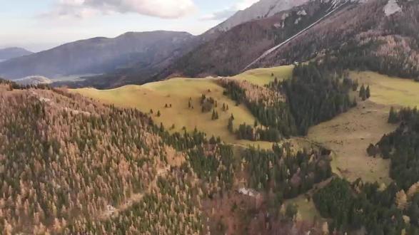 福建省地方专项计划!