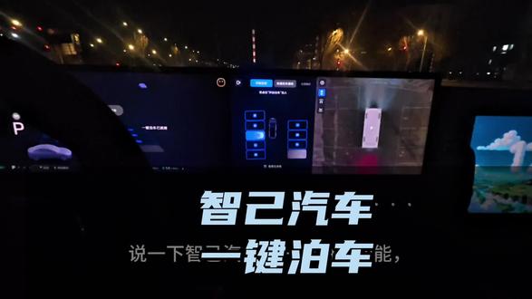 智己汽车的一键泊车功能,好用的打好用#智己 #智己汽车 #一键泊车