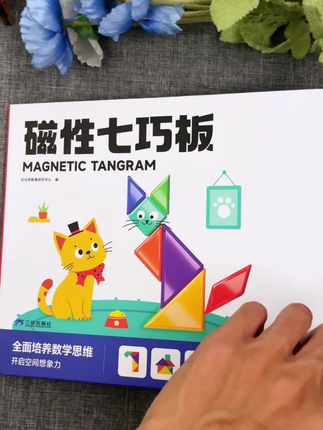 动手又动脑的磁性 #七巧板 ,锻炼宝宝的逻辑思维能力和空间想象力,提升专注力,宝宝越玩越聪明😊#益智玩具 #启蒙早教