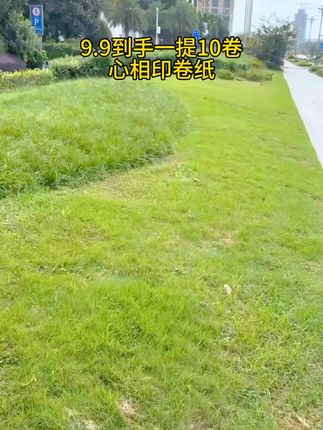 心相印无芯卷纸这个价到手一提#抽纸 #纸巾 #卷纸 #卫生纸 #超便宜超划算