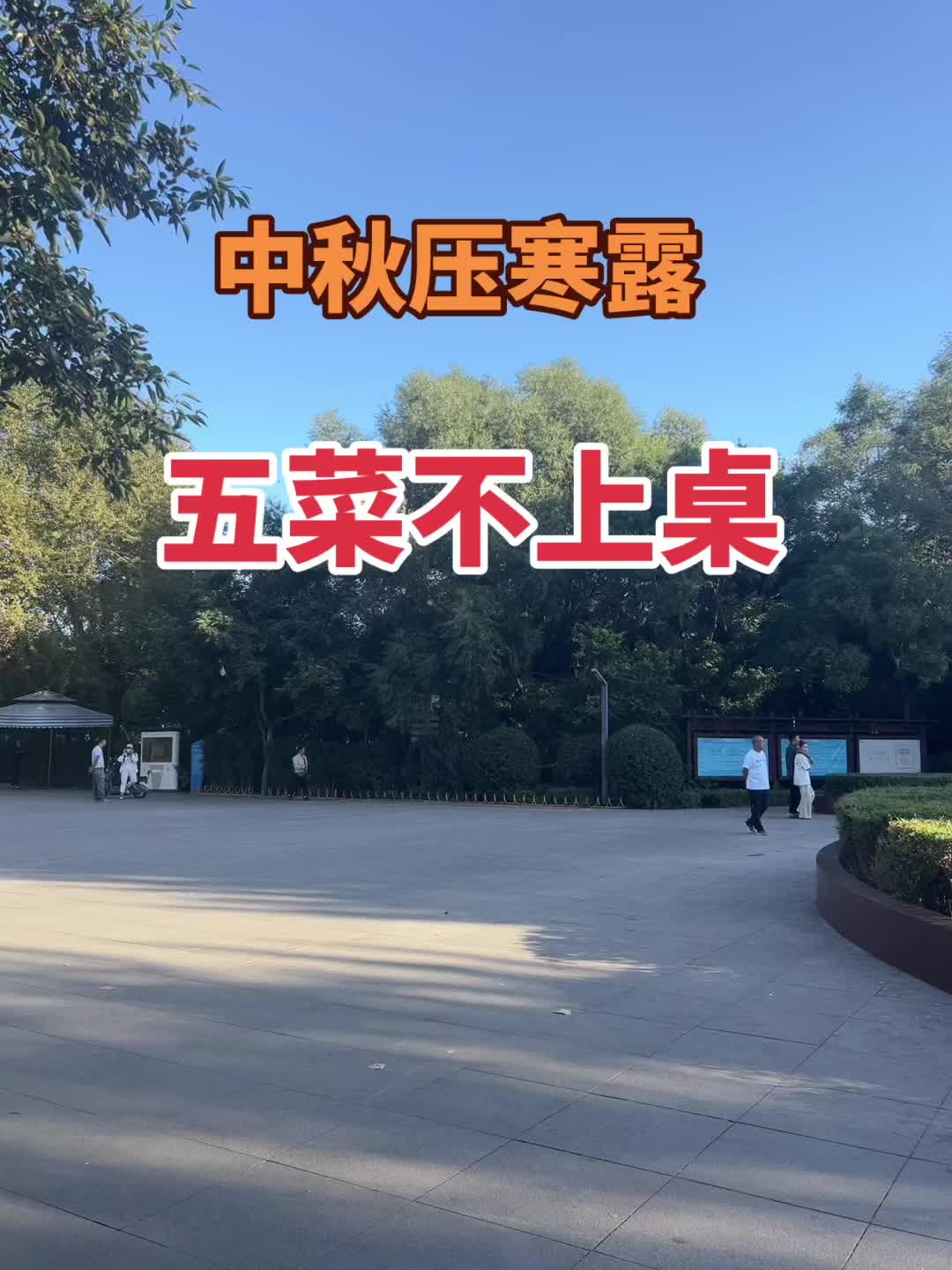 #城市一角 #秋天 #日常生活