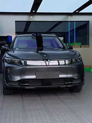 适用2025款岚图FREE+防虫网 专用前杠黑化卡扣式进气口格栅蚊虫网#防虫网 #岚图free