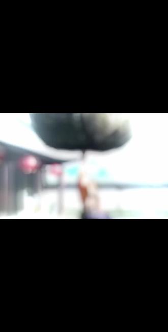 孔武有力,原来是名词解释 #抽象#孔子#孔武有力#二创