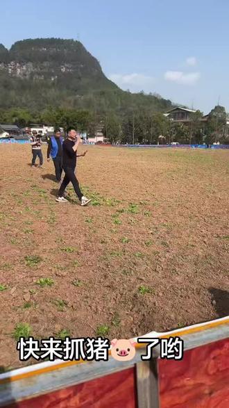 来抓猪猪了 #上热搜 #@秦勇(生活号) @梦想者秦勇大舞台,有才你就来。