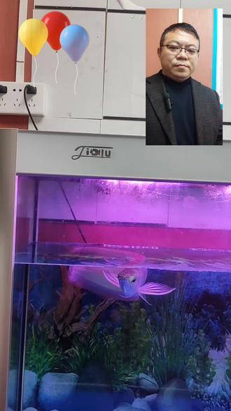 寒假开始了,你期待吗?#寒假规划