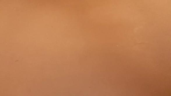 特来骑到手!都给我去买大号的白团子。真的手感爽翻了。#边伯贤 #特来骑