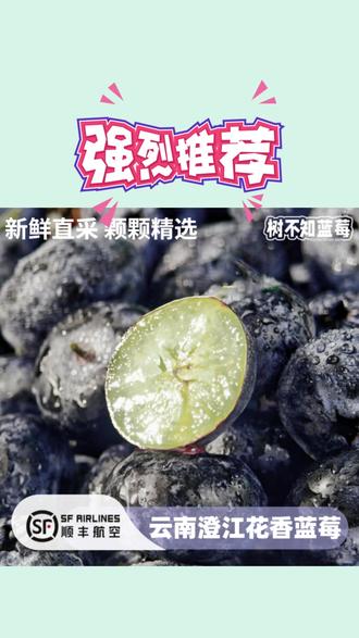 蓝莓 【真·25花香】云南澄江蓝莓15mm+起100g*4盒起净重400g起内附果径卡#蓝莓 #云南水果 #新鲜水果 #美味蓝莓 #水果推荐