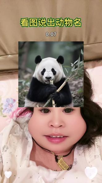 谁能告诉我这是什么🐰