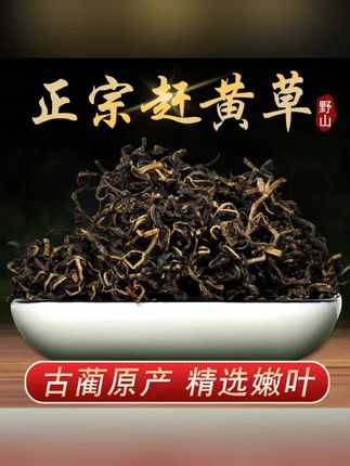 #赶黄草 #赶黄草茶 四川古蔺赶黄草嫩叶代茶饮正宗正品 #古蔺赶黄草 #赶黄草袋泡茶 #草本植物