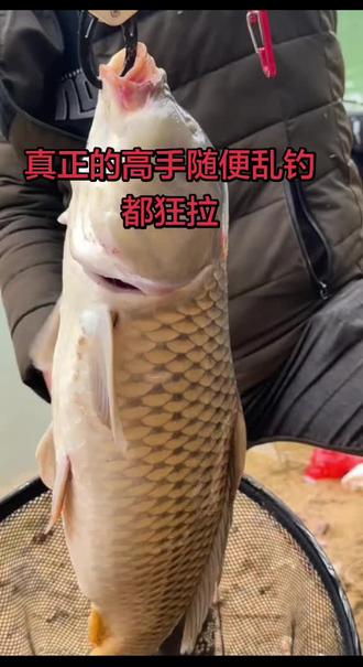 六谷大钓场,鱼类品种丰富