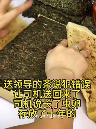 认识吗#安化黑茶 #茶