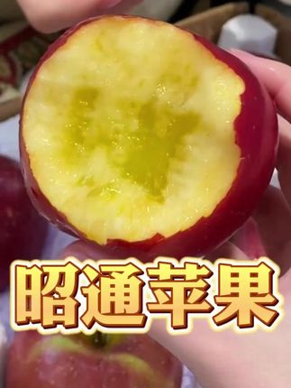 正宗云南昭通甜蜜苹果