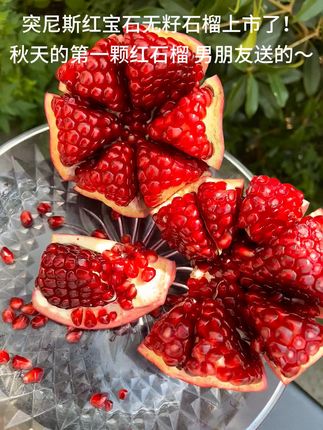 突尼斯红宝石无籽石榴上市了!!秋天的第一颗红石榴 男朋友送的!!#石榴熟了#石榴