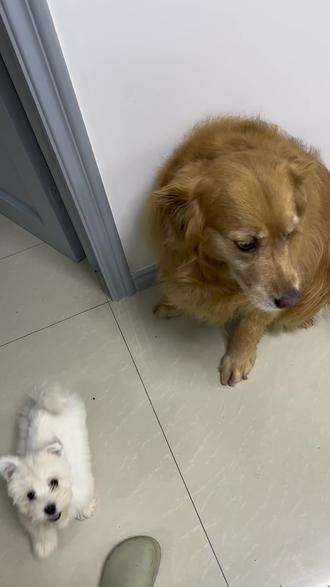 一晚上都是节目